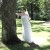 bride by tree