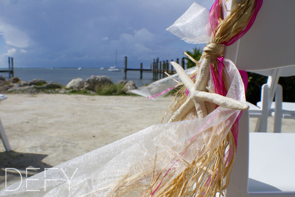 starfish decorations