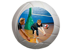 Volleyball Wall Cling